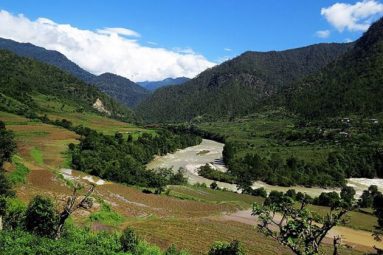 Bhutan Environment | Forests and Wildlife Conservation - Go Bhutan Tours