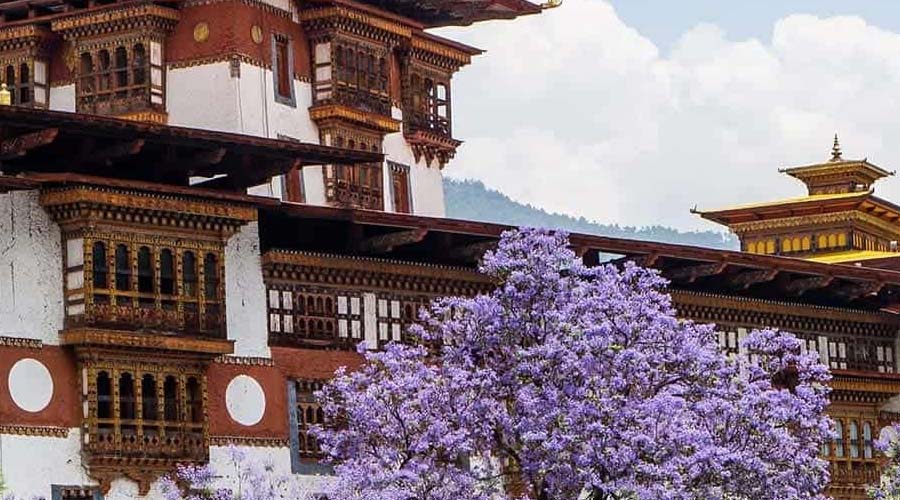 Discover Our Difference - Bhutan Tours